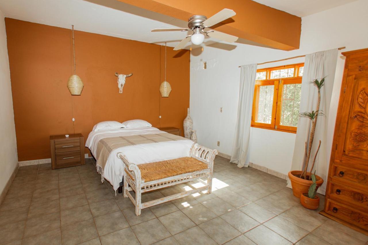 Cien Palmas- Authentic Mexican Casita 1 -Downtown Todos Santos Exterior foto